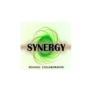 Synergy logo