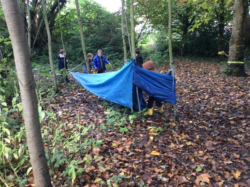 Header image for Autumn Term – Year 1